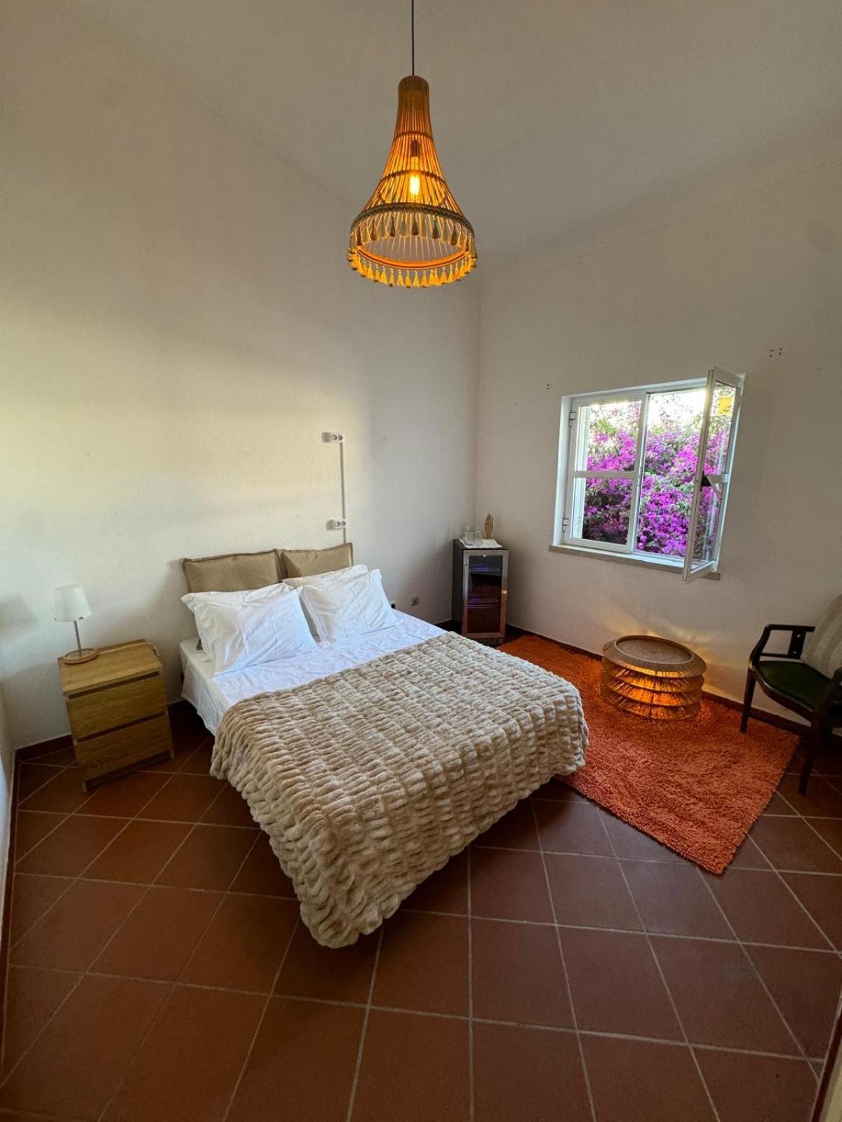 Villa 46 Hostel 拉哥斯 外观 照片